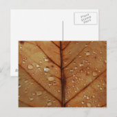 Herbstliche Postkarte (Vorne/Hinten)