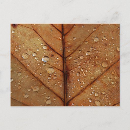 Herbstliche Postkarte (Vorderseite)