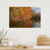 Herbstliche Reflexionen Poster (Küche)