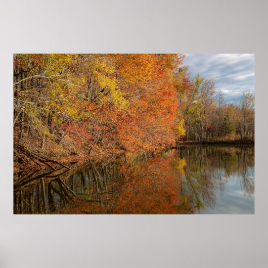 Herbstliche Reflexionen Poster (Vorne)