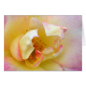 Herbstliche Rose (Vorderseite (Horizontal))