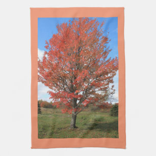 Herbstliche rote Ahornbäume im Bild des blauen Him Geschirrtuch