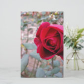 Herbstliche rote Rose Briefpapier (Stehend Vorderseite)