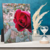Herbstliche rote Rose Fotoplatte (Seite)