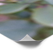 Herbstliche rote Rose Poster (Ecke)