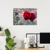 Herbstliche rote Rose Poster (Heimbüro)