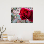 Herbstliche rote Rose Poster (Küche)