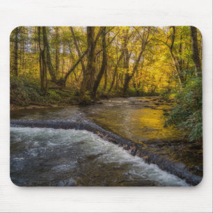 Herbstliche Ruhe Wald-Mauspad Mousepad