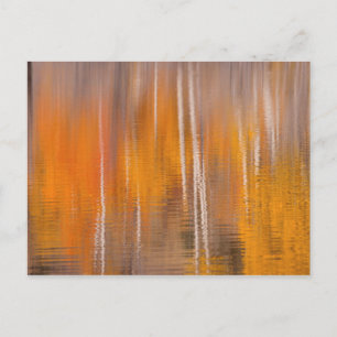 Herbstliche Spiegelungen am Biberteich Winthrop, Postkarte