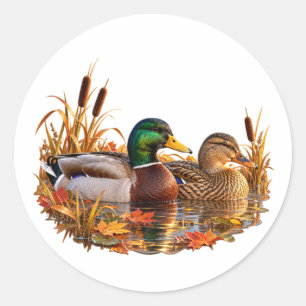 Herbstliche Stockenten-Entenpaar-Feuchtgebiete-Her Runder Aufkleber