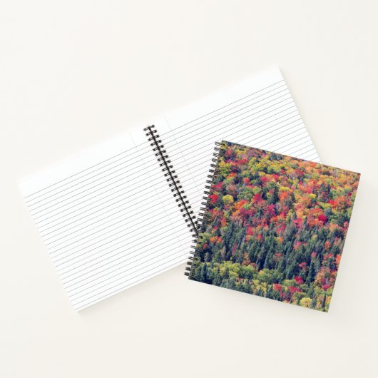 Herbstliche Waldlandschaft Notizblock (Innenseite)