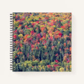 Herbstliche Waldlandschaft Notizblock (Vorderseite)