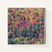 Herbstliche Waldlandschaft Notizblock (Rückseite)