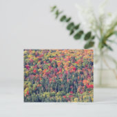 Herbstliche Waldlandschaft Postkarte (Stehend Vorderseite)