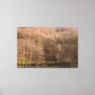 Herbstliche Waldlandschaft - Wilde Natur Rumänien Leinwanddruck
