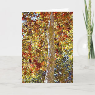 Herbstlicher Ahornbaum Kunst Notizkarte Karte