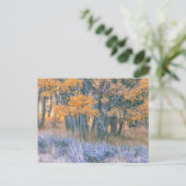 Herbstlicher Espenwald Postkarte (Stehend Vorderseite)