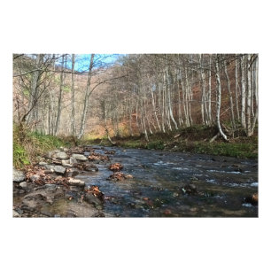 Herbstlicher Gebirgsfluss – Wilde Natur Rumänien Fotodruck