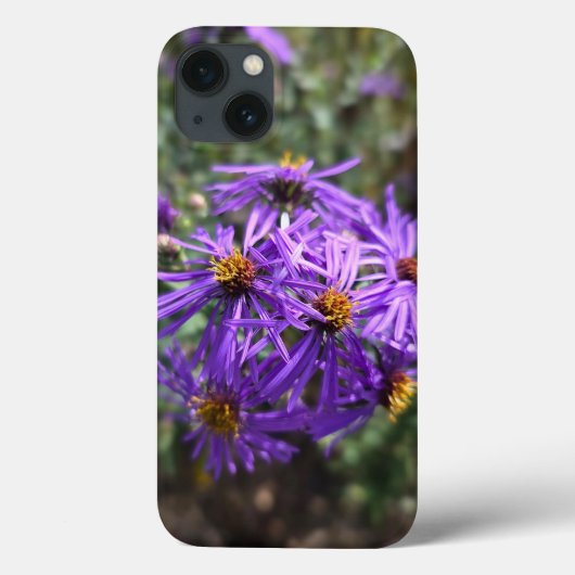 Herbstlicher Purpurglanz Case-Mate iPhone Hülle (Rückseite)