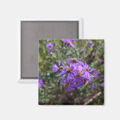 Herbstlicher Purpurglanz Magnet (Vorderseite/Rückseite)