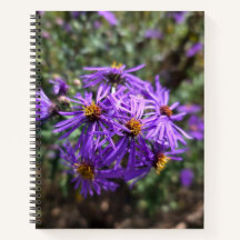 Herbstlicher Purpurglanz