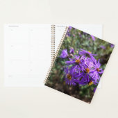 Herbstlicher Purpurglanz Planer (Anzeige)