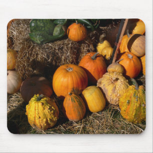 herbstlicher Überfluss Mousepad