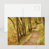 Herbstlicher Waldweg Postkarte (Vorne/Hinten)