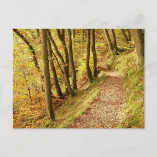 Herbstlicher Waldweg Postkarte