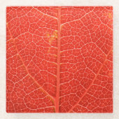 Herbstliches Blatt Glasuntersetzer (Vorderseite)