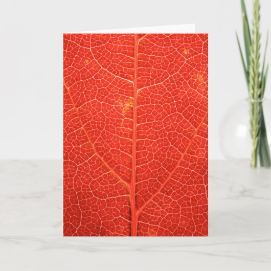 Herbstliches Blatt Karte (Vorderseite)