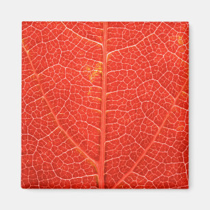 Herbstliches Blatt Magnet