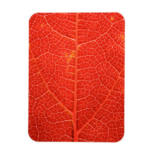 Herbstliches Blatt Magnet