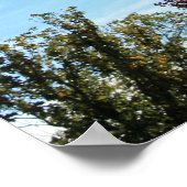 "Herbstlicht" Poster (Ecke)