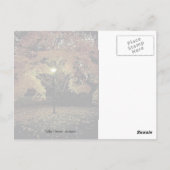 Herbstlicht Postkarte (Rückseite)