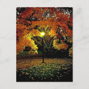 Herbstlicht Postkarte