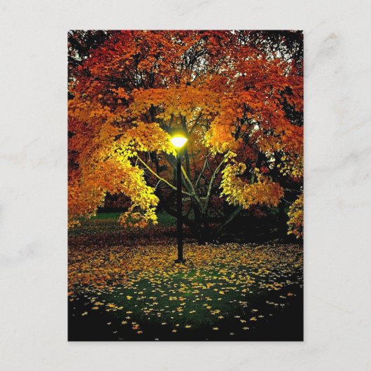 Herbstlicht Postkarte (Vorderseite)