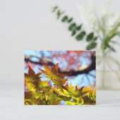 Herbstlicht Postkarte (Stehend Vorderseite)