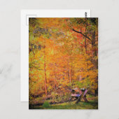 Herbstmagie Postkarte (Vorne/Hinten)