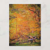 Herbstmagie Postkarte (Vorderseite)