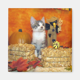 Herbstmagnet für Schweineschuppe - Katze / Kätzche Magnet