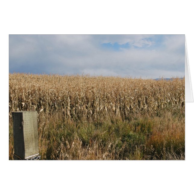 Herbstmaisernte (Vorderseite (Horizontal))