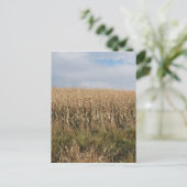 Herbstmaisernte Postkarte (Stehend Vorderseite)