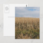 Herbstmaisernte Postkarte (Vorne/Hinten)