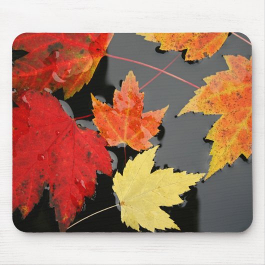 Herbstmapel Verlasse roten Teich Mousepad (Vorne)