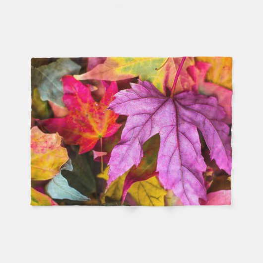 Herbstmapfelbaum Blätter farbenfrohe Herbstlandsch Fleecedecke (Vorderseite (Horizontal))