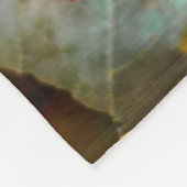 Herbstmapfelbaum Blätter farbenfrohe Herbstlandsch Fleecedecke (Ecke)