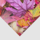 Herbstmapfelbaum Blätter farbenfrohe Herbstlandsch Seidenpapier (Ausschnitt)