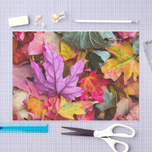 Herbstmapfelbaum Blätter farbenfrohe Herbstlandsch Seidenpapier (Handwerk)