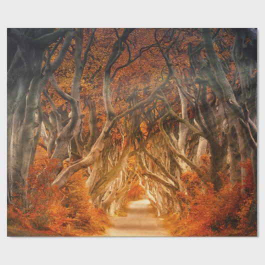 Herbstmapfelwald fällt Wälder Blätter Geschenkpapier (Flach)